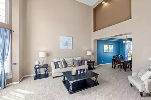 11328 Champion Ct W, Plainfield, IL 60585 photo 4