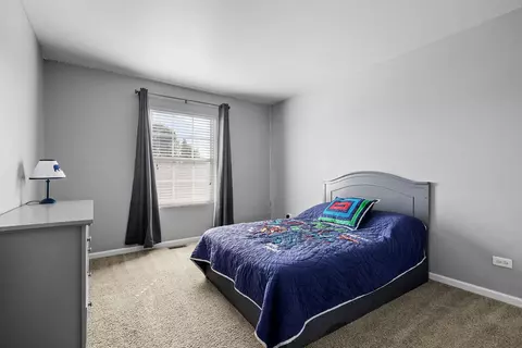 11328 Champion Ct W, Plainfield, IL 60585 photo 22