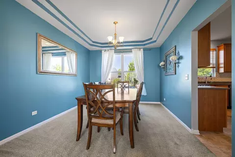 11328 Champion Ct W, Plainfield, IL 60585 photo 5