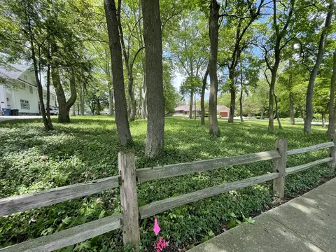 14312 Long Ave, Midlothian, IL 60445 photo 3