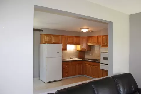 13130 E Playfield Dr, Crestwood, IL 60418 photo 11
