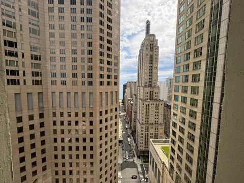 100 E Walton St #33D, Chicago, IL 60611 photo 5