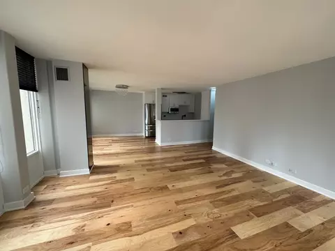 100 E Walton St #33D, Chicago, IL 60611 photo 6
