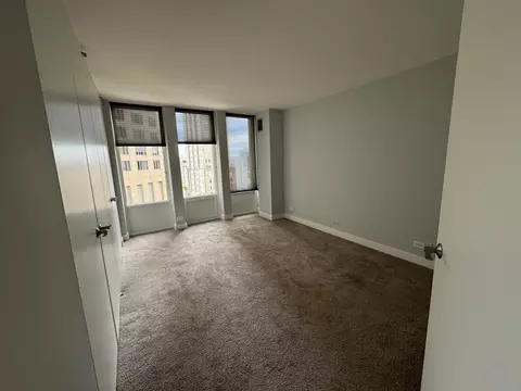 100 E Walton St #33D, Chicago, IL 60611 photo 11