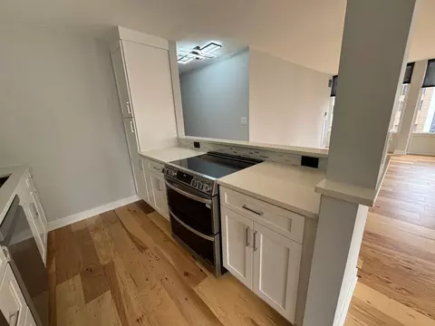 100 E Walton St #33D, Chicago, IL 60611 photo 9