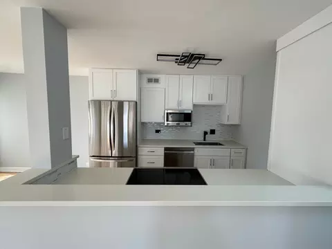 100 E Walton St #33D, Chicago, IL 60611 photo 7