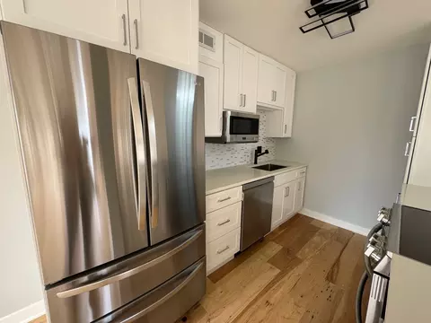 100 E Walton St #33D, Chicago, IL 60611 photo 10