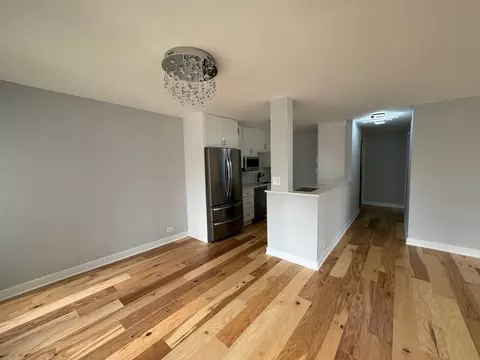 100 E Walton St #33D, Chicago, IL 60611 photo 8
