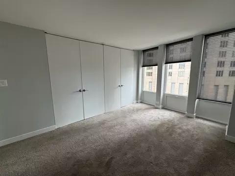 100 E Walton St #33D, Chicago, IL 60611 photo 12