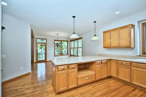 1124 S Washington St, Wheaton, IL 60189 photo 13