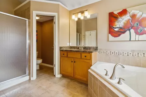 24533 Rockefeller Ct, Plainfield, IL 60544 photo 20