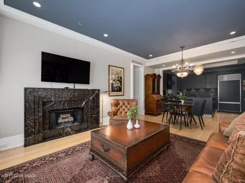 Living - 159 E Walton Pl #11D, Chicago, IL 60611 photo 5 of 6