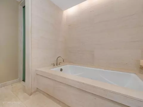 Bath - 159 E Walton Pl #11D, Chicago, IL 60611 photo 3 of 5