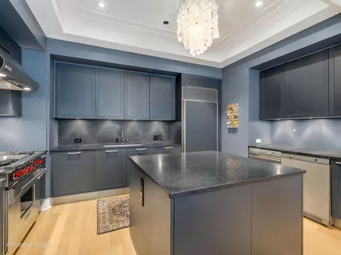 Kitchen - 159 E Walton Pl #11D, Chicago, IL 60611 photo 2 of 2