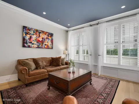 Living - 159 E Walton Pl #11D, Chicago, IL 60611 photo 4 of 6