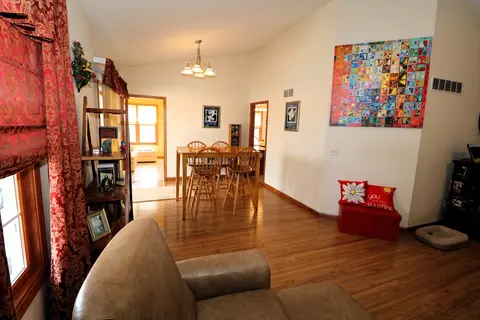 115 Marsh Hawk Dr, Le Roy, IL 61752 photo 8