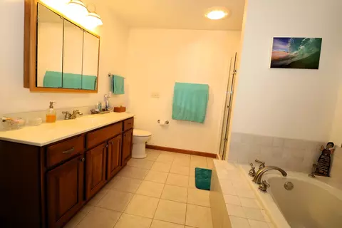 115 Marsh Hawk Dr, Le Roy, IL 61752 photo 13