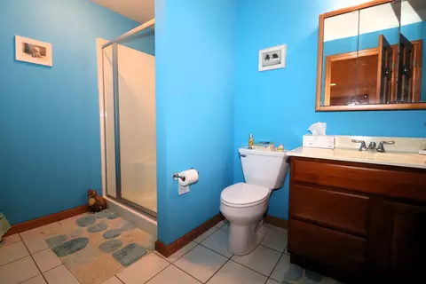 115 Marsh Hawk Dr, Le Roy, IL 61752 photo 23