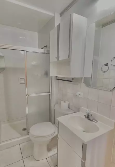 Bath - 238 E Berkley Ln, Hoffman Estates, IL 60169 photo 1 of 2