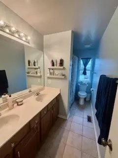 22011 W Miller Ct, Plainfield, IL 60544 photo 10