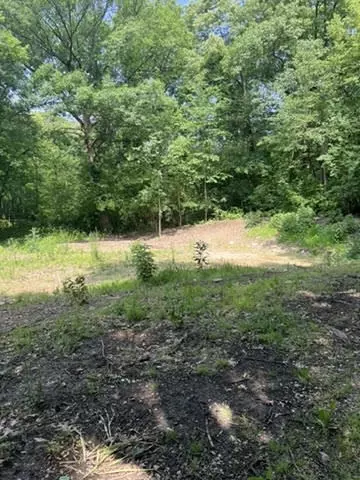 2401 Lisson Rd, Naperville, IL 60565 photo 5