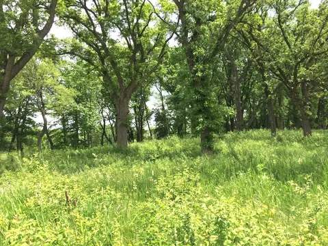 1201 Ridgemoor Trail, Bull Valley, IL 60098