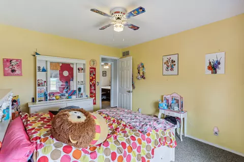 804 E Benham St, Tolono, IL 61880 photo 27