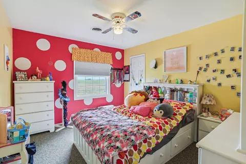 804 E Benham St, Tolono, IL 61880 photo 26