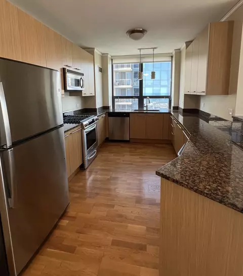 450 E Waterside Dr #2509, Chicago, IL 60601 photo 6