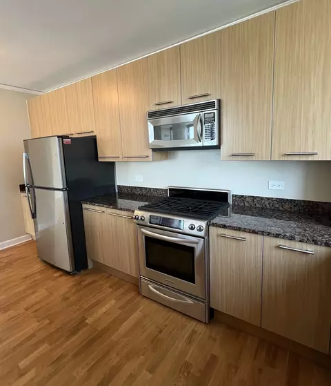 450 E Waterside Dr #2509, Chicago, IL 60601 photo 8