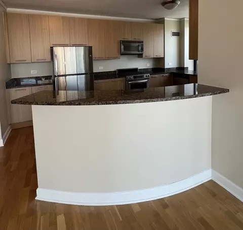 450 E Waterside Dr #2509, Chicago, IL 60601 photo 4