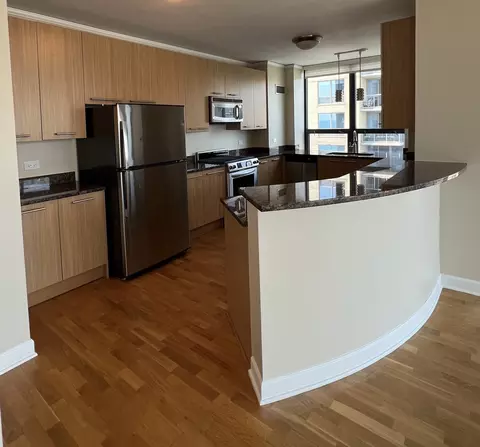 450 E Waterside Dr #2509, Chicago, IL 60601 photo 5