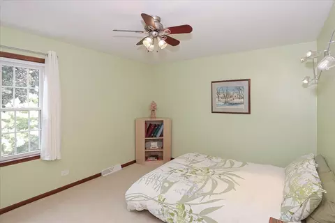 523 Irvington Ct, Bartlett, IL 60103 photo 24