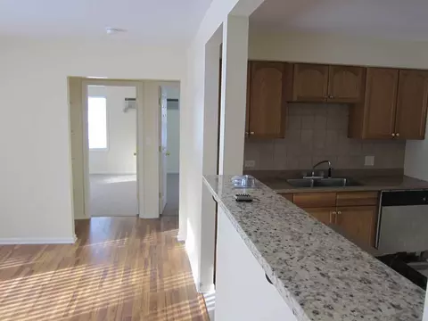 146 E Strong Ave, Wheeling, IL 60090 photo 3