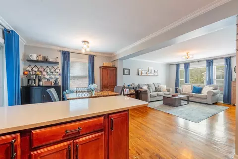 Other - 4133 Maple Ave, Brookfield, IL 60513 photo 4 of 11