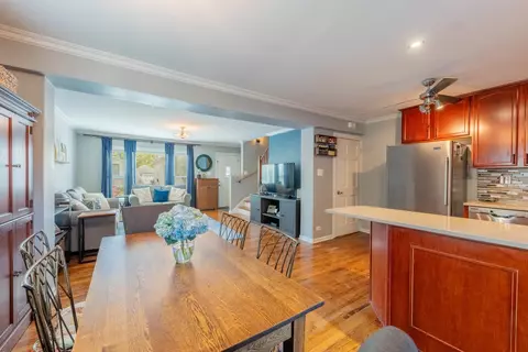 Other - 4133 Maple Ave, Brookfield, IL 60513 photo 5 of 11