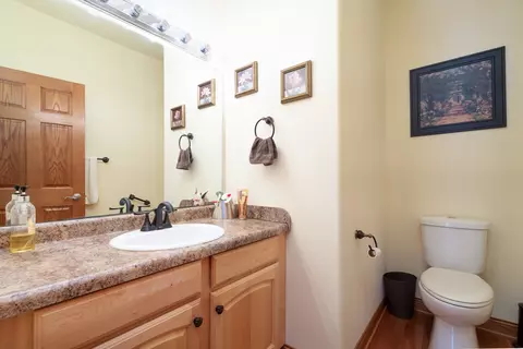 252 Fairway Dr, Beecher, IL 60401 photo 14