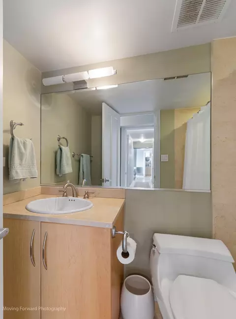 Bath - 175 E Delaware Pl #8603, Chicago, IL 60611 photo 3 of 3