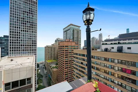 222 E Chestnut St #9B, Chicago, IL 60611 photo 44