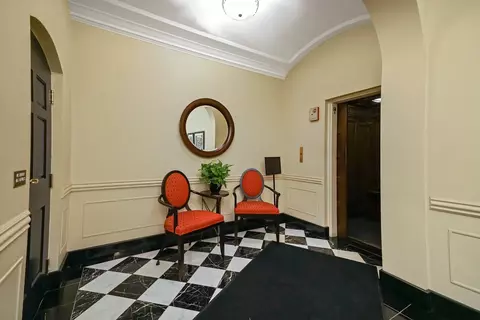 222 E Chestnut St #9B, Chicago, IL 60611 photo 47