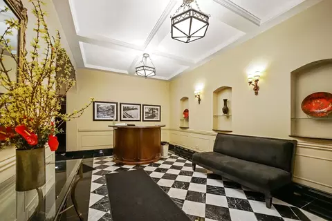 222 E Chestnut St #9B, Chicago, IL 60611 photo 46