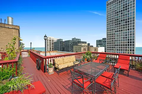 222 E Chestnut St #9B, Chicago, IL 60611 photo 42
