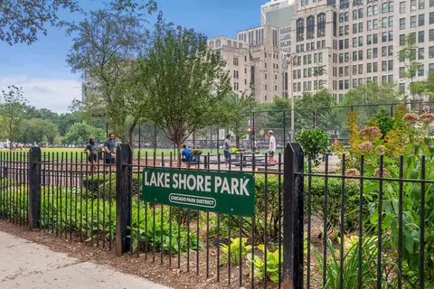 222 E Chestnut St #9B, Chicago, IL 60611 photo 49
