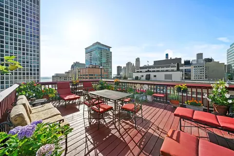 222 E Chestnut St #9B, Chicago, IL 60611 photo 57