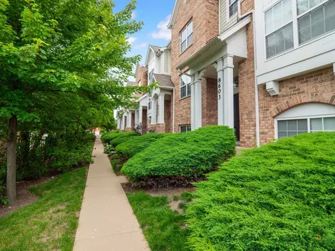 8603 Waukegan Rd, Morton Grove, IL 60053