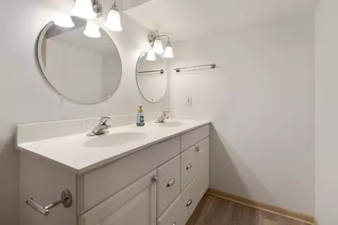 Bath - 2905 Starling Ln, Rolling Meadows, IL 60008 photo 2 of 4
