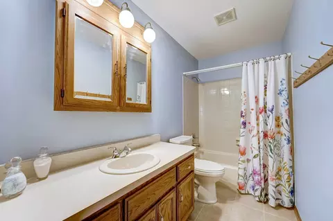 1038 Park Blvd, Morris, IL 60450 photo 35