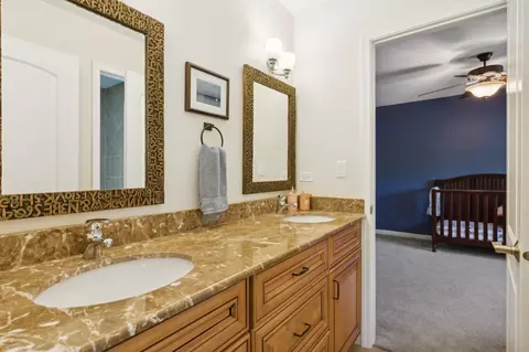 450 Dara James Rd, Des Plaines, IL 60016 photo 30