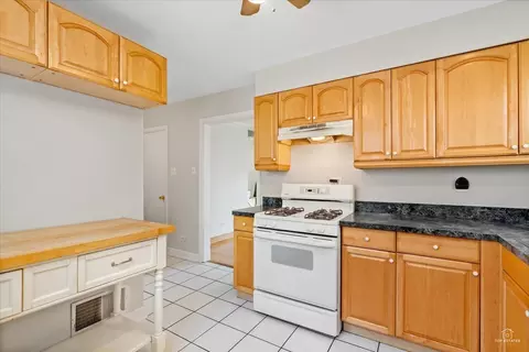 374 Alles St, Des Plaines, IL 60016 photo 5