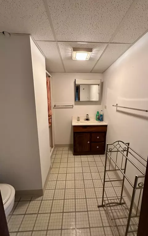 419 421 Stoddard Ave, Wheaton, IL 60187 photo 13